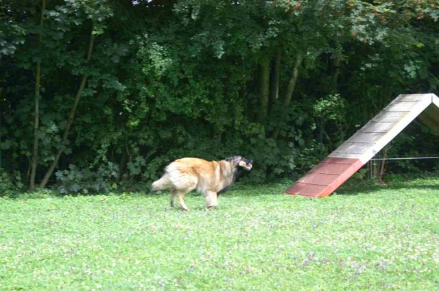 obeissance 2014-08-02